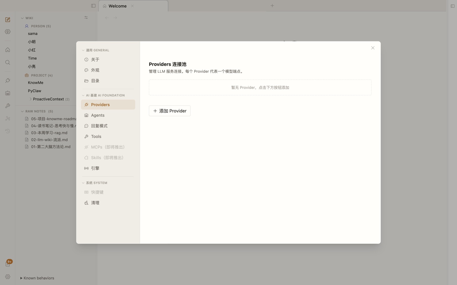 Providers 列表，显示已配置的 provider 卡片